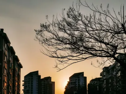 MegaReel Kaszinó Mobilalkalmazás